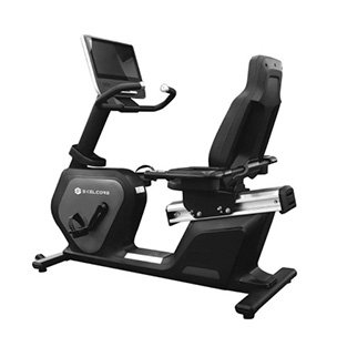 Skelcore Bicicleta Recumbente Elite en Consorcio Hermes Querétaro