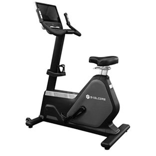 SKELCORE BICICLETA VERTILAL en Consorcio Hermes Querétaro